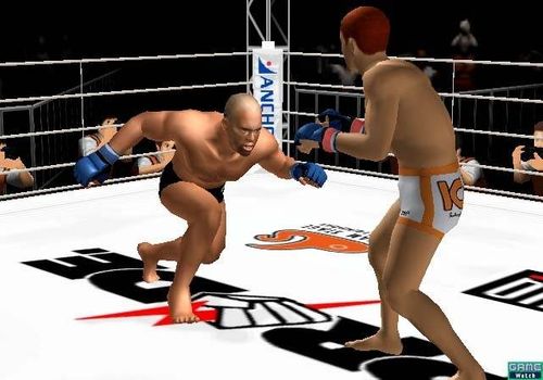 PRIDE FIGHTING CHAMPIONSCHIPS [PS2] na Arena.pl