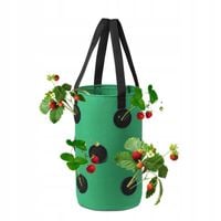 Doniczka WISZĄCA Worek POMIDORY Koktajlowe POZIOMKI KIESZENIE 35