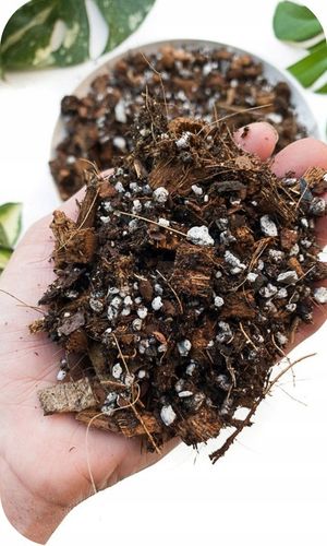 Ziemia do Kwiatów Podłoże do Monstery 20L Juka Bio Bigos Lekkie na Arena.pl