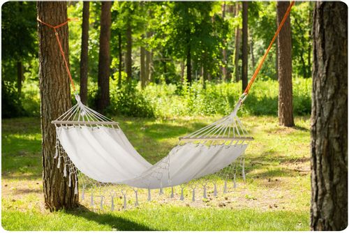hamak Toledo MAŁPISZON na Arena.pl