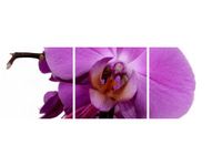 product-compare-58646052