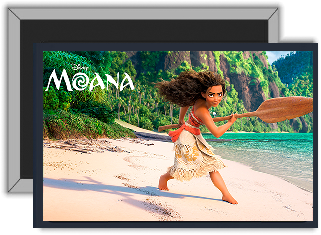 Magnes Vaiana zdjęcie 1