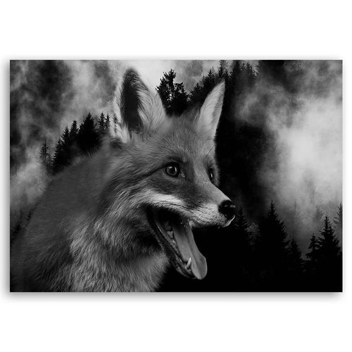 Obraz na płótnie – Canvas, Czarno - biały lis 60x40 na Arena.pl