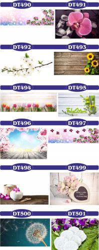 fototapety FOTOTAPETA na wymiar KWIAT kamienie SPA na Arena.pl