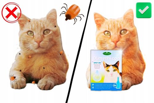 PREPARAT PRZECIW PCHŁOM I KLESZCZOM DLA KOTÓW NA KROPLE PCHŁY I KLESZCZE na Arena.pl