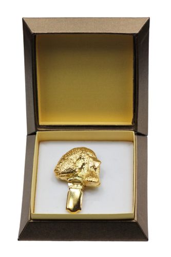 Bedlington Terrier - klips - 2621 na Arena.pl