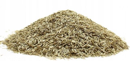 TRAWA K&M RENOWACYJNA 5kg CAŁOROCZNA SAMOZAGĘSZCZAJĄCA ważna 2027 rok na Arena.pl