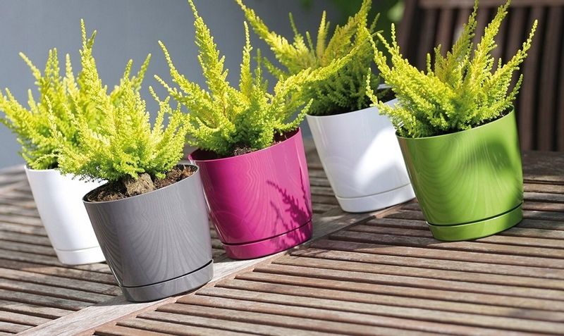 5x Doniczka okrągła Coubi DUOP100 + podstawka zdjęcie 3