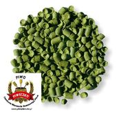 Chmiel aromatyczny Saaz (Zatecki) (CZ) 30g - granulat 2025