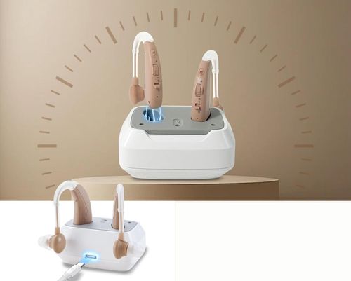 POWYSTAWOWY Aparat słuchowy cyfrowy HIBRIQ VHP-1011  4 tryby ekwalizera na Arena.pl