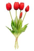 TULIPAN sztuczny TULIPANY SILIKONOWE BUKIET 5 sztuk czerwony