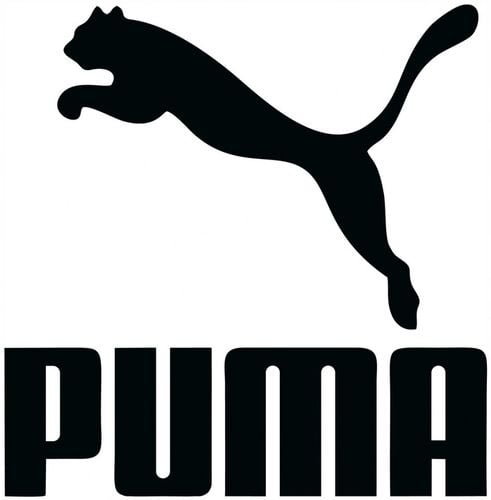 6 PAR PUMA SKARPETKI ZAKOSTKI CZARNE 39-42 na Arena.pl