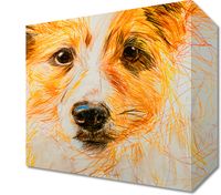 product-compare-59494113