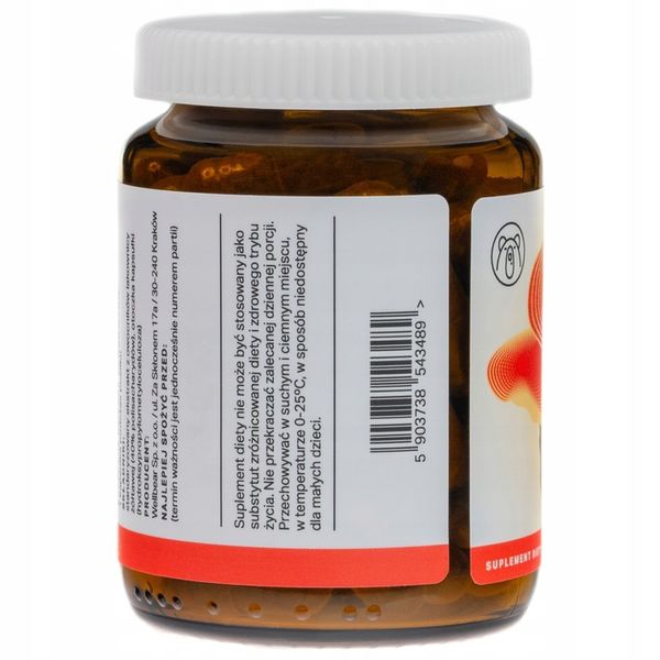 Grzyb Reishi Lakownica żółtawa 400 mg Odporność Krążenie Relaks Adaptogen zdjęcie 3
