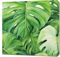 Obraz 70x70cm Tajemnice Liści