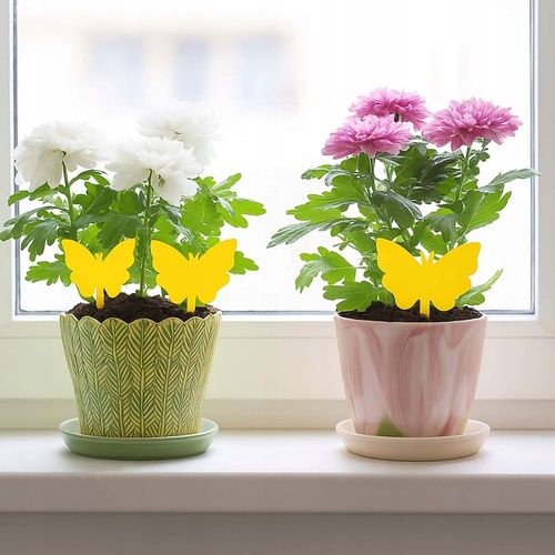 60 Lep na Ziemiórki Owady Żółte Lepy do Doniczek Taśma Domowa Meszki na Arena.pl