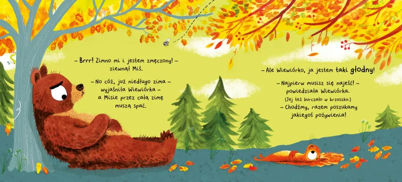 Misie nie lubią się dzielić zdjęcie 3