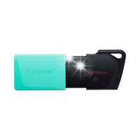 Pen-drive 256GB Kingston DTXM DT Exodia M USB3.0 USB-3.2 Gen1 wysuwany