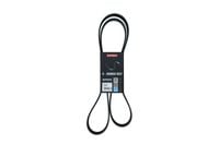 PASEK MICRO-V 7 PK 1770 HONDA FR-V 2005 2006
