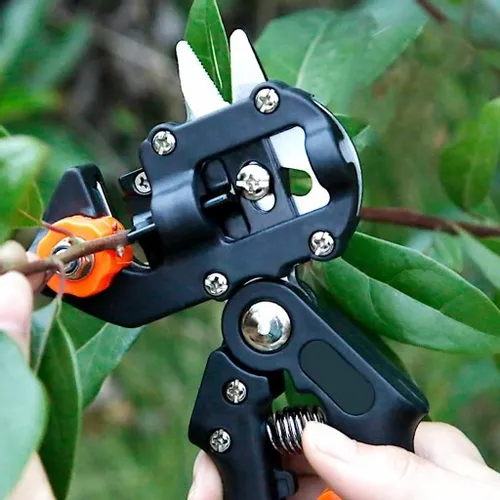 SEKATOR DO SZCZEPIENIA DRZEW I KRZEWÓW ETUI 3 MATRYCE x2 TAŚMA DO SZCZEPIEŃ na Arena.pl