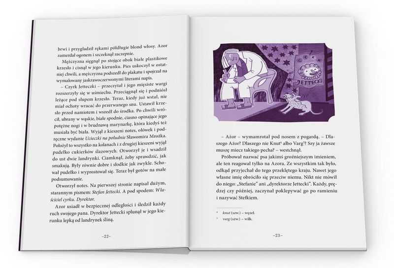 Księga Ludensona zdjęcie 4