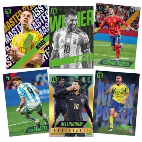 ALBUM PANINI TOP CLASS 2025 NOWOŚĆ + PRZEWODNIK PL na Arena.pl