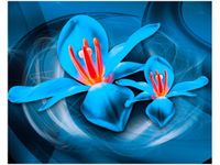 40X50CM NIEBIESKIE KOSMICZNE KWIATY JAKUB BANAŚ OBRAZ