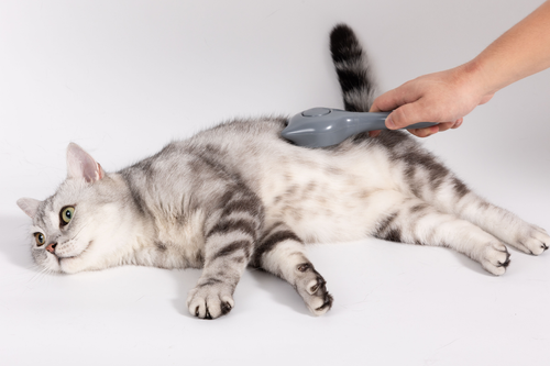 Grzebień do pielęgnacji kota szary ABS 19,2×8,5×4,4cm UNIQ PETS na Arena.pl