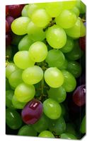 Obraz 40x70cm Winogronowy Kalejdoskop
