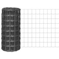 Euro ogrodzenie, stalowe, 25 x 0,8 m, szare