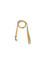 A-020 SMYCZ DLA PSA TAŚMA 13MM/130CM Kolor - Złoty