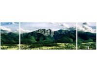 product-compare-58702445