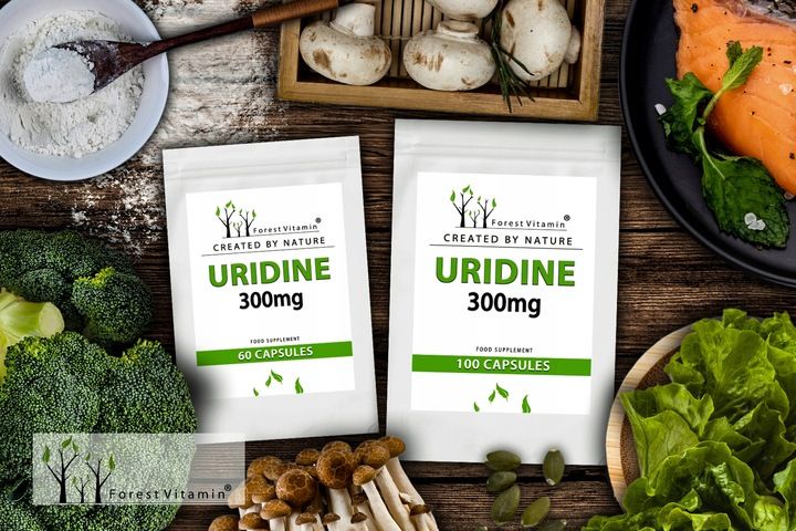 FOREST URYDYNA UMP 100 kaps ALZHEIMER MÓZG zdjęcie 2