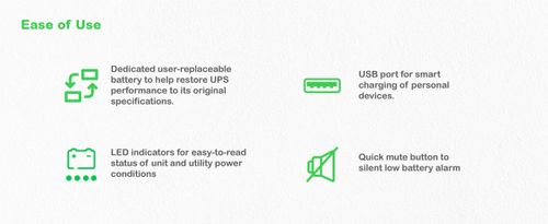 UPS APC Back-UPS (500VA/300W, 230V, 8xSchuko, USB-A) na Arena.pl