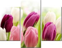 product-compare-58710909