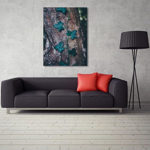 Deco Panel, Bluszcz na pniu 60x80 na Arena.pl