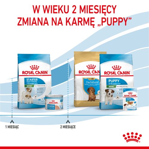 royal canin mini starter 1kg na Arena.pl