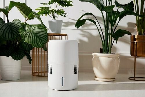 FILTR EWAPORACYJNY NAWILŻACZA KLARTA HUMEA /WIFI NAWILŻAJĄCY na Arena.pl