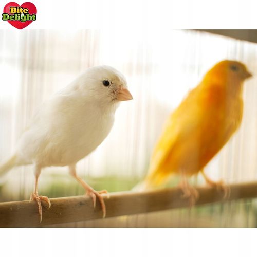 KARMA DLA KANARKA ZEBEREKI SZCZYGŁA POKARM Z WITAMINAMI I MINARAŁAMI 2,5L na Arena.pl