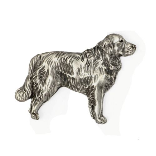 Golden Retriever - broszka - 2648 na Arena.pl