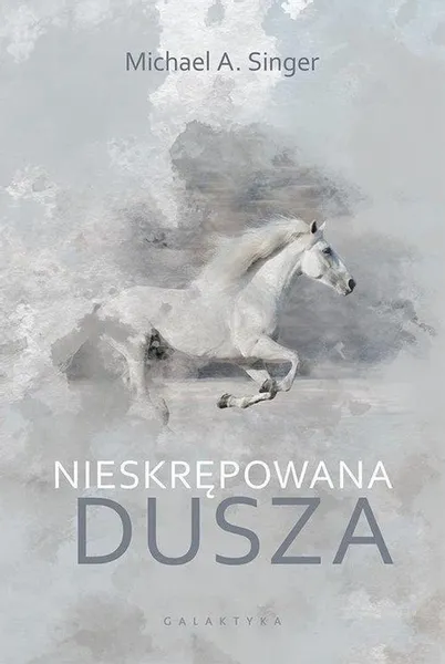 Nieskrępowana dusza. Michael A. Singer. zdjęcie 2