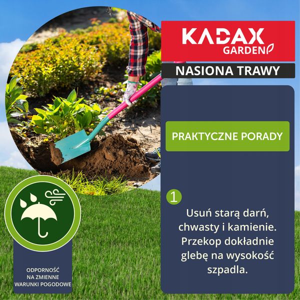 TRAWA OZDOBNA TRAWNIK SAMOZAGĘSZCZAJĄCA 10 KG zdjęcie 4