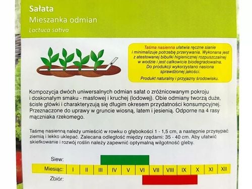 ZESTAW 2240 Sprawdzonych Nasion Warzyw na taśmie na Arena.pl