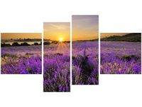 55 100CM OBRAZ 4 ELEM POLE LAWENDY ŚCIENNY