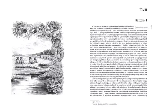 Nad Niemnem na Arena.pl