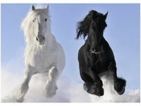 50X70CM BLACK&WHITE OBRAZ POKOJU DREWNINE