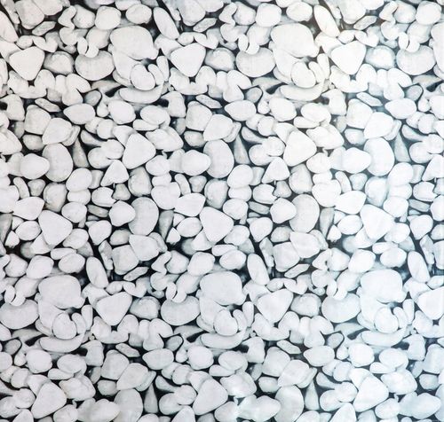 ZASŁONA ZASŁONKA PRYSZNICOWA MATERIAŁOWA WIESZAKAMI KÓŁKAMI KABINY 180x180 na Arena.pl