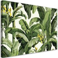 Obraz na płótnie,  Zielone liście bananowca 120x80
