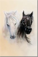 100 70CM OBRAZ PŁÓTNO BLACK&WHITE PŁÓTNO RAMA