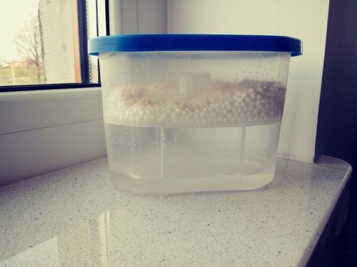 Pochłaniacz wilgoci, osuszacz stojący , zestaw 7 sztuk na Arena.pl